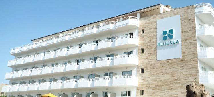 蓝海唐海梅(Bluesea Don Jaime)图片