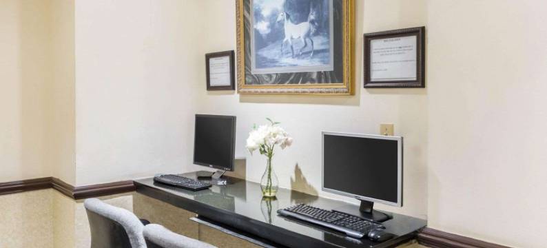 萨默塞特凯隆酒店-新不伦瑞克(Clarion Hotel Somerset - New Brunswick)图片