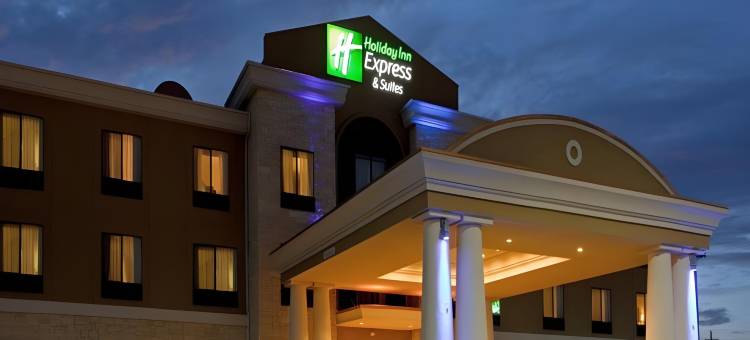 智选假日套房酒店阿马里洛南(Holiday Inn Express & Suites Amarillo South)图片