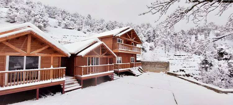 万普拉斯塔度假村(Vanprastha Resorts)图片