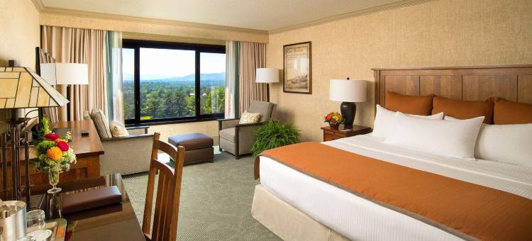 欧尼格罗夫公园酒店及水疗中心(The Omni Grove Park Inn - Asheville)图片