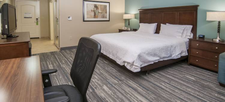 巴吞鲁日艾伦港欢朋套房酒店(Hampton Inn & Suites Baton Rouge/Port Allen)图片