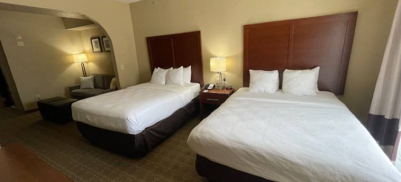 康福特套房 圣安东尼奥 靠近海洋世界(Comfort Suites Near Seaworld)图片