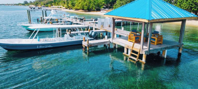 蓝色罗阿坦度假村(Blue Roatan Resort)图片