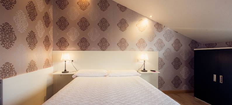 帕西拉温泉别墅公寓(Apartamentos Spa Villa Pasiega)图片