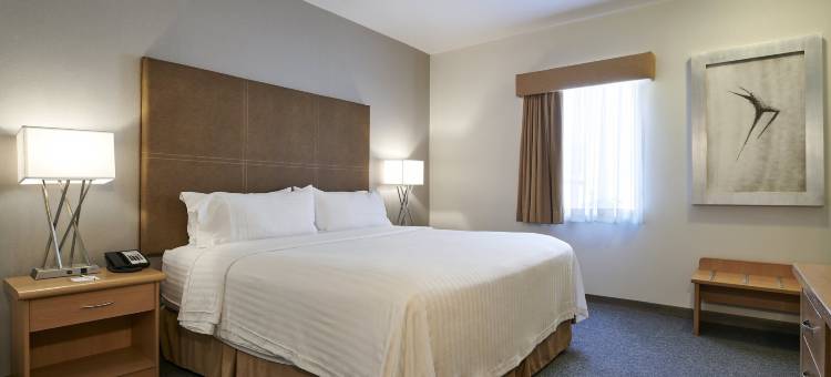 Holiday Inn & Suites 奇瓦瓦(Holiday Inn & Suites Chihuahua Expo)图片