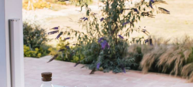 蒙特达贝姆波斯塔(Monte da Bemposta)图片