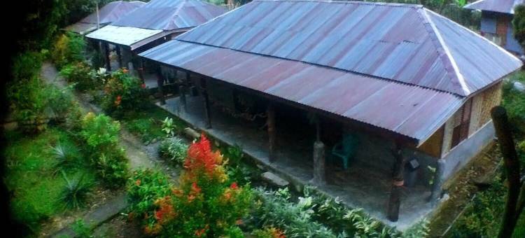 唐卡汉绿色小屋(Green Lodge Tangkahan)图片