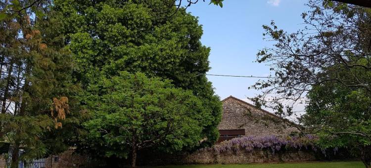 克洛斯德拉峰特克罗住宿加早餐旅馆(Le Clos de la Font Queroy)图片