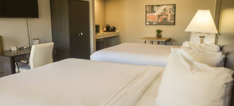 美国现代酒店(Americana Modern Hotel)图片