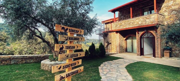 以弗所静修处(EPHESUS  RETREAT)图片