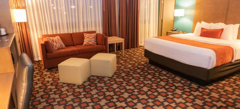 丽筠国会大厦边缘酒店(Radisson Hotel St. Paul Downtown)图片