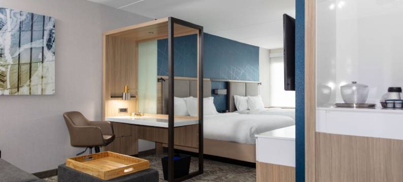 马里奥特杜汉姆市景观SpringHill套房(SpringHill Suites Durham City View)图片