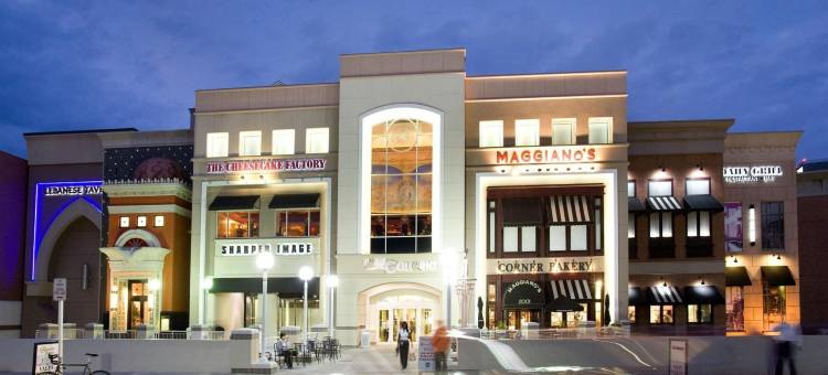 泰森斯角希尔顿花园酒店(Hilton Garden Inn Tysons Corner)图片