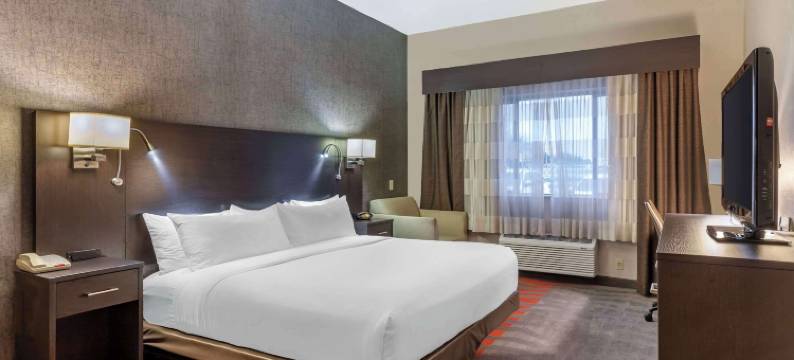 博伊西默尔迪恩舒适套房酒店(Comfort Suites Boise West Meridian)图片