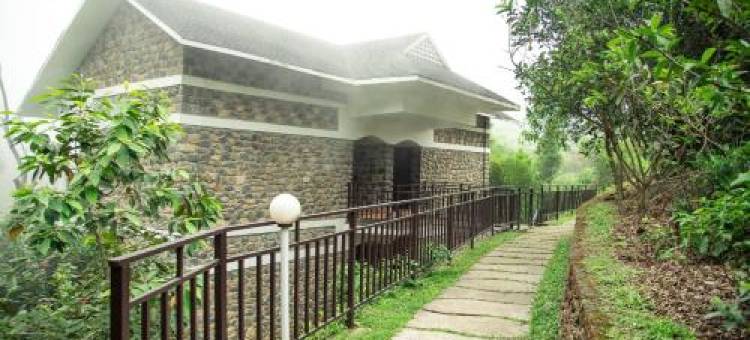 Misty Mountain Experience图片