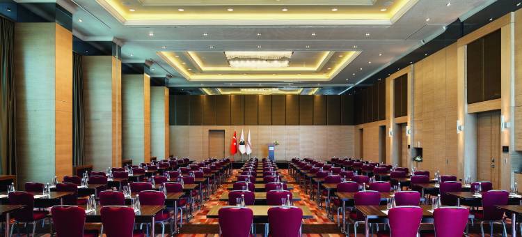 安卡拉瑞享酒店(Mövenpick Ankara)图片