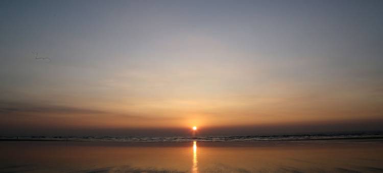 阿雷卡棕榈酒店(Areca Palms)图片