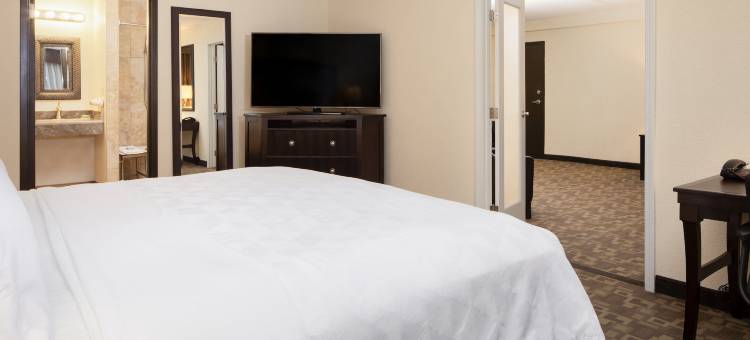 Holiday Inn & Suites 查尔斯顿(Holiday Inn & Suites CHARLESTON WEST by IHG)图片