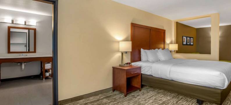 埃姆斯爱荷华州立大学校园附近舒适套房酒店(Comfort Inn and Suites Ames Near Isu Campus)图片