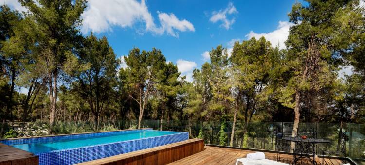 赫伯特塞缪尔巴日巴格利精品酒店(Herbert Samuel Bayit Bagalil Boutique)图片