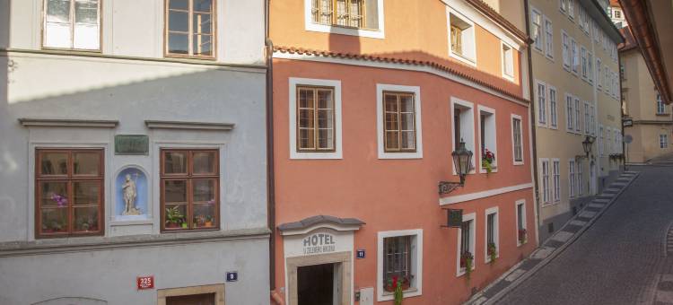 绿葡萄酒店(Hotel at the Green Grape)图片