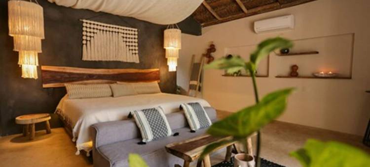 黄色巢穴(The Yellow Nest Tulum)图片