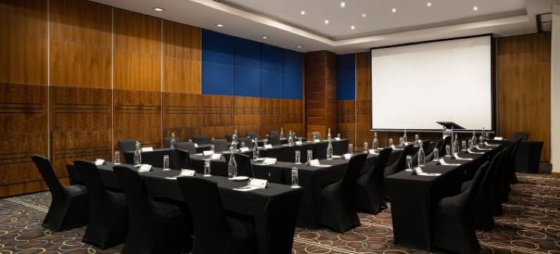 米德兰尊贵酒店(Premier Hotel Midrand)图片