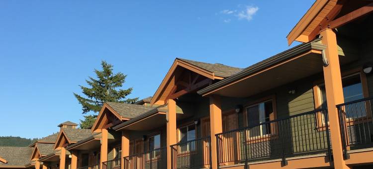 维德河酒店(Vedder River Inn)图片