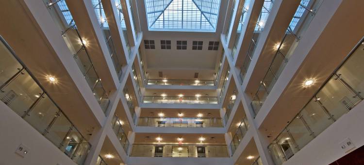 萨拉索塔布雷登顿机场希尔顿逸林酒店(DoubleTree by Hilton Sarasota Bradenton Airport)图片