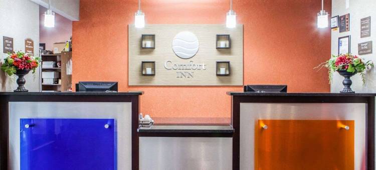 舒适酒店-利斯萨米特50号及291号高速公路(Comfort Inn Lees Summit - Hwy 50 & Hwy 291)图片