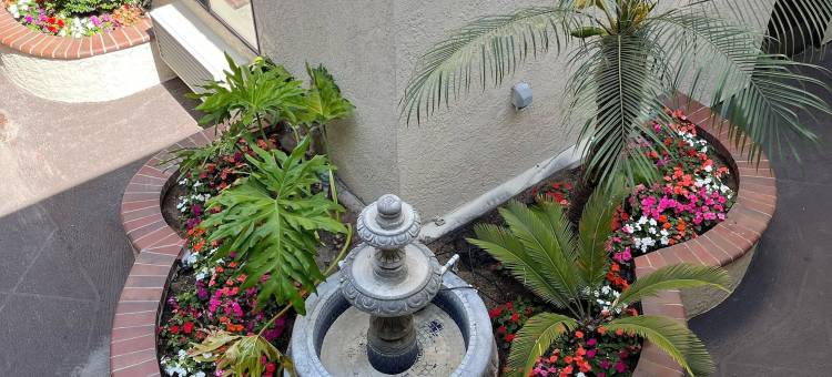 拉古那旅店&套房(Laguna Inn and Suites)图片