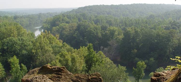 瑟希M星酒店(M Star Hotel Searcy)图片