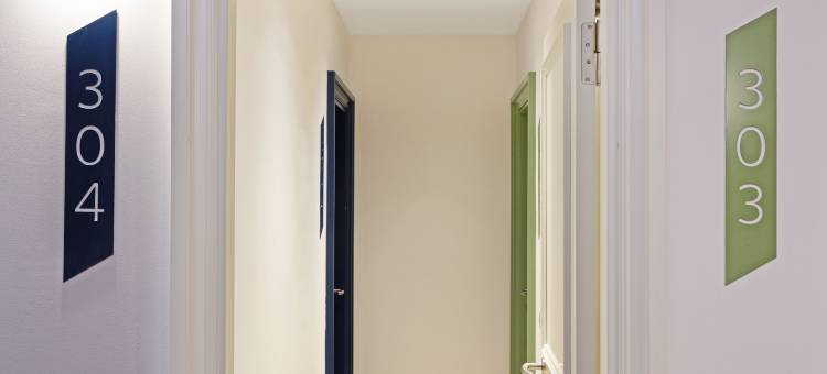 一次机会-普拉多23号(One Shot Prado)图片