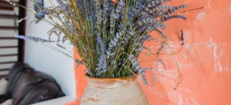 Bonic公寓(Apartments Bonic)图片