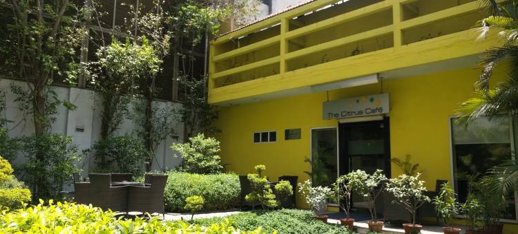 古尔冈乌德约格维哈尔柠檬树酒店(Lemon Tree Hotel, Udyog Vihar, Gurugram)图片