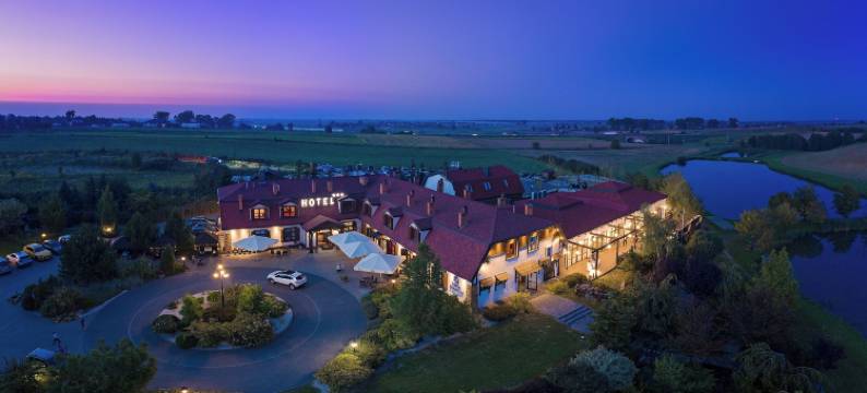 迪沃尔波古辛餐厅酒店(Dwór Bogucin Hotel&Restauracja)图片