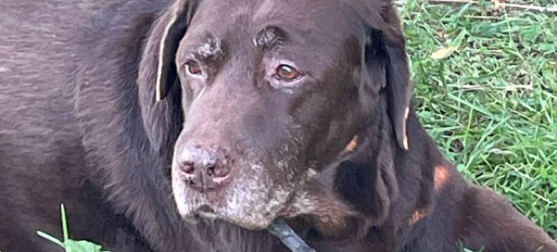 法国酒店(Hotel de France Perpignan Centre Ville)图片