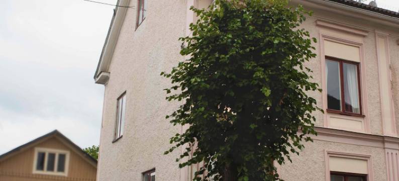 厄克西城镇酒店附楼(Eksjö Stadshotell Annex)图片