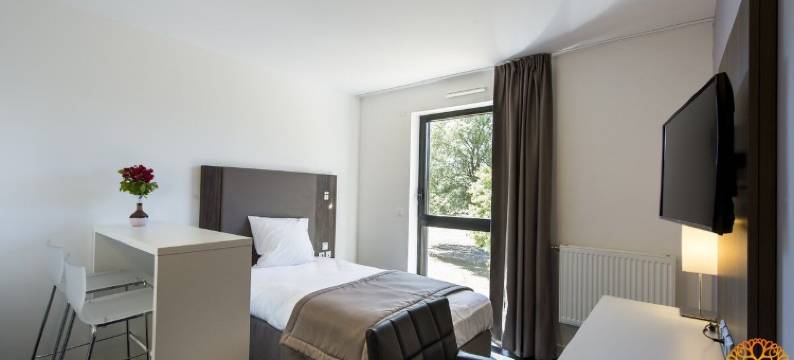 阿多尼斯第戎国际之家酒店(Adonis Dijon Maison Internationale)图片