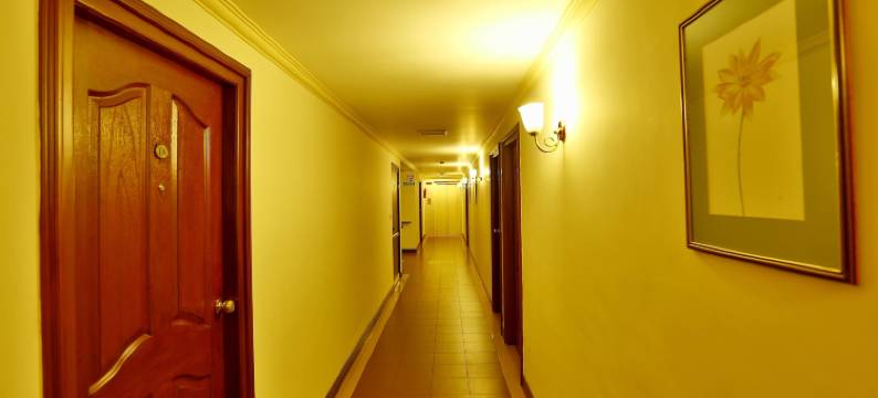 伊萨克斯居家酒店(Issacs Residency)图片