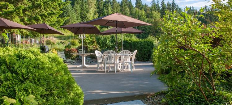 希尔拓普酒店 - 萨蒙阿姆(Hilltop Inn - Salmon Arm)图片