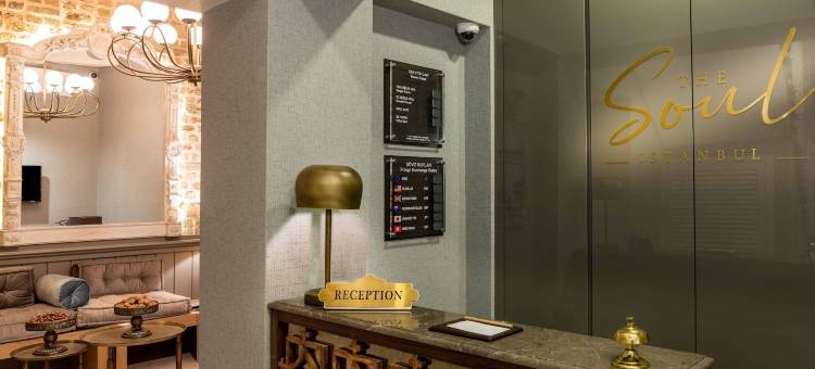 伊斯坦布尔心灵酒店(The Soul Istanbul Hotel)图片