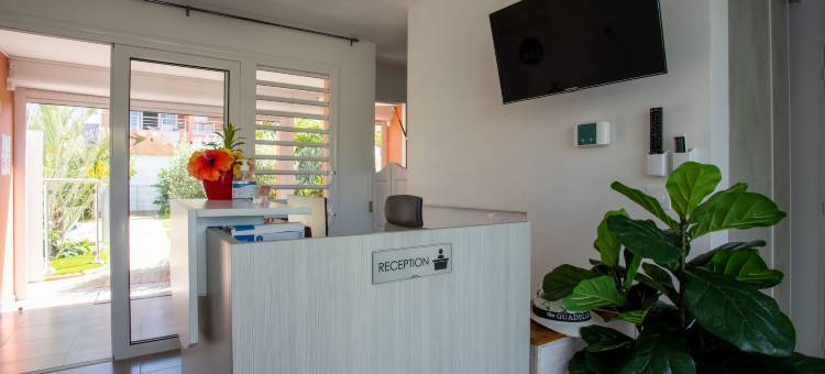 瓜德罗普棕榈套房酒店(Hôtel Guadeloupe Palm Suites)图片