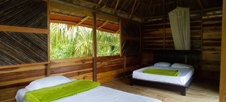 Taorayiná 自然保护区(Taorayiná nature reserve)图片