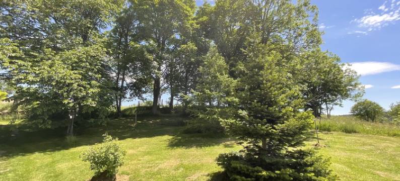 嘉塞里·勒埃雷勒酒店(Jasserie les Airelles)图片