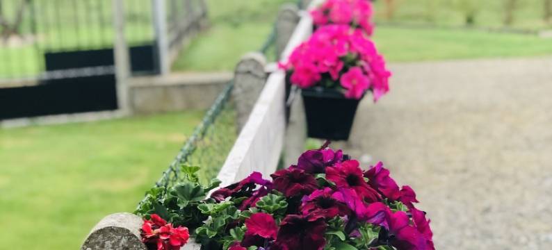 弗雷内斯民宿(Gite de Frenes)图片