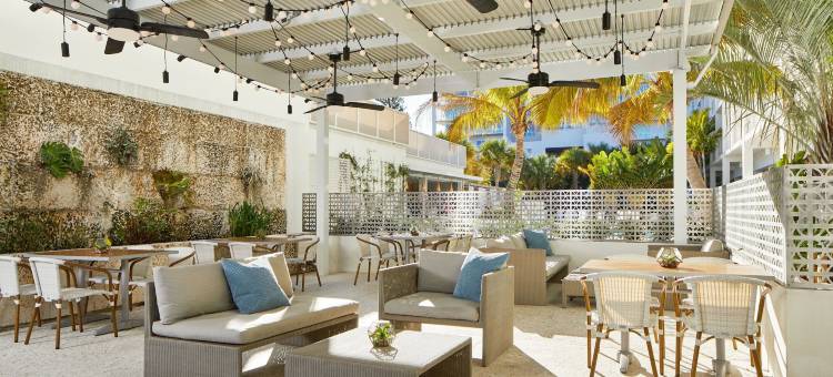 萨拉索塔现代酒店-臻品之选(The Sarasota Modern, a Tribute Portfolio Hotel)图片