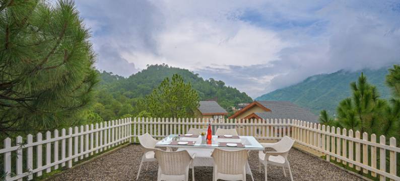 丛林小屋(Jungle Lodge Resort)图片