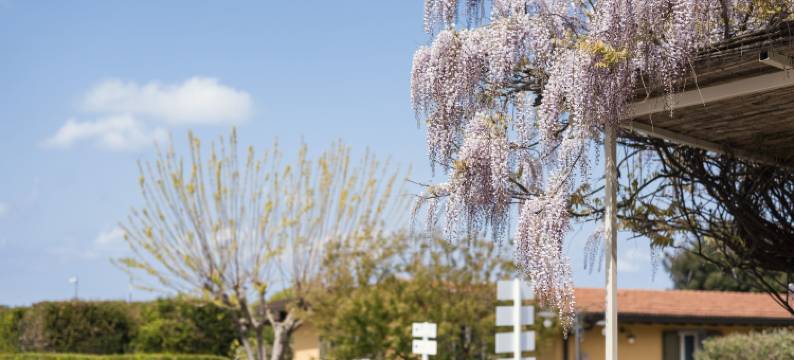 博德勒拉嘎维农庄(Agriturismo Podere l'Agave)图片